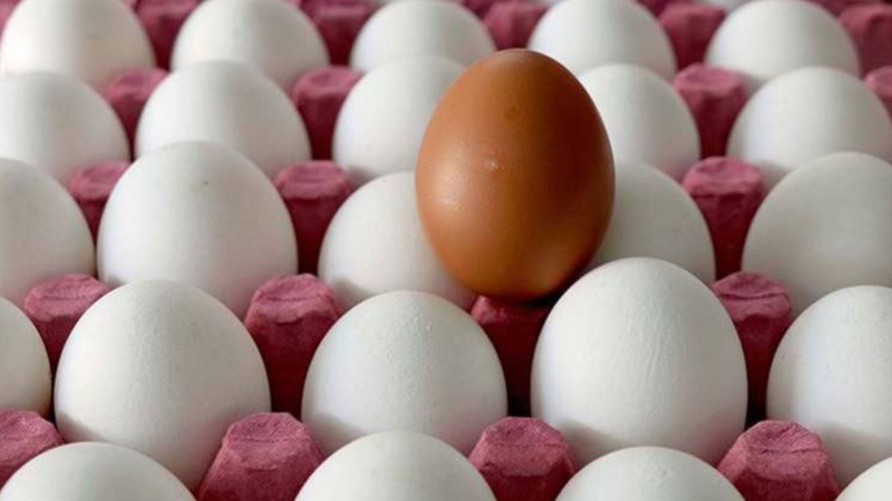 Foto - ABD, Türkiye'den 22 bin ton satın alacak! Anlaşma süper ama vatandaşı maalesef zam korkusu sardı