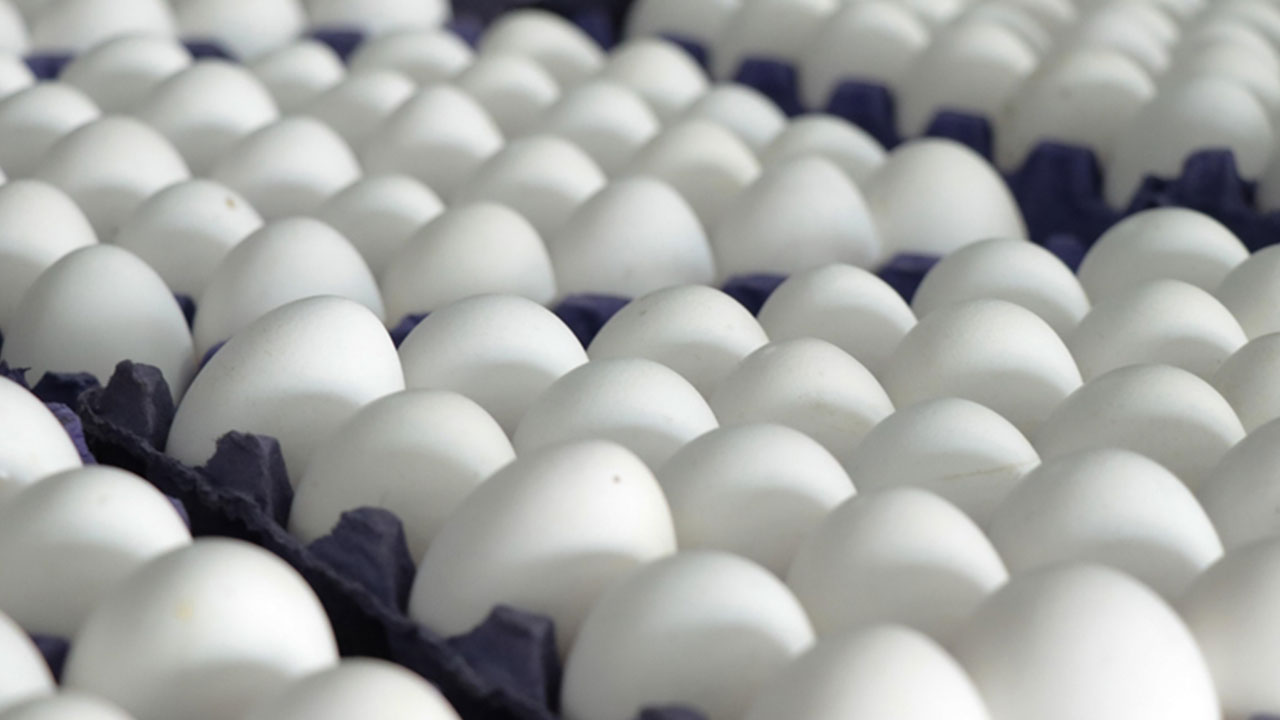 Foto - ABD, Türkiye'den 22 bin ton satın alacak! Anlaşma süper ama vatandaşı maalesef zam korkusu sardı