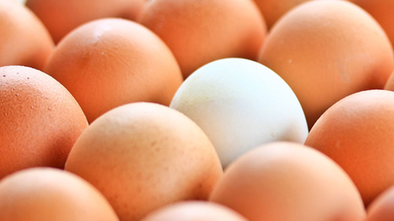 Foto - ABD, Türkiye'den 22 bin ton satın alacak! Anlaşma süper ama vatandaşı maalesef zam korkusu sardı