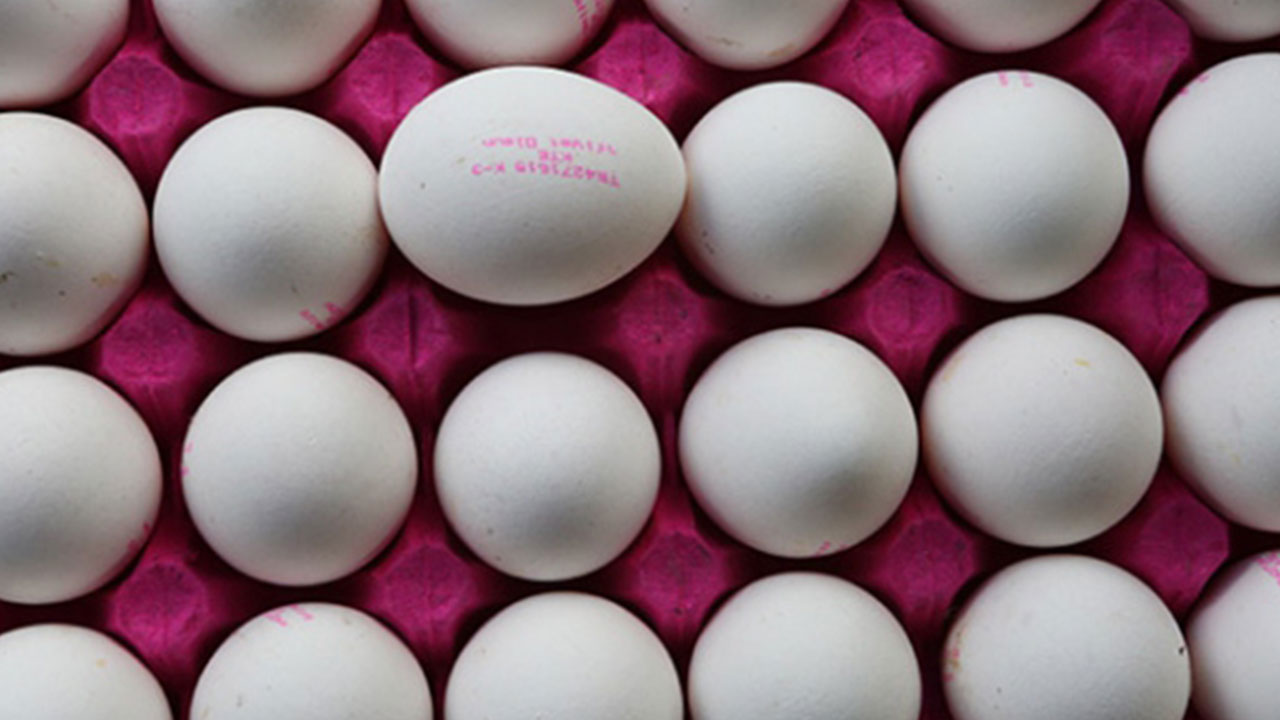 Foto - ABD, Türkiye'den 22 bin ton satın alacak! Anlaşma süper ama vatandaşı maalesef zam korkusu sardı