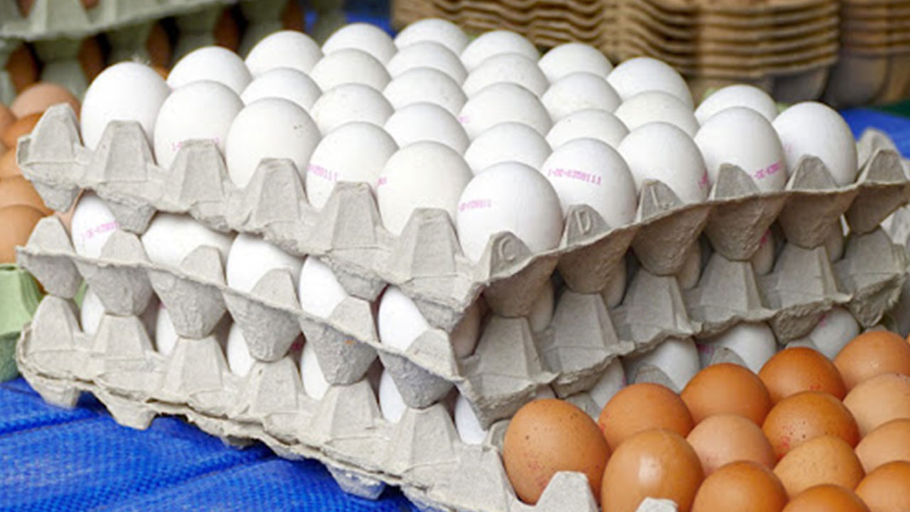 Foto - ABD, Türkiye'den 22 bin ton satın alacak! Anlaşma süper ama vatandaşı maalesef zam korkusu sardı