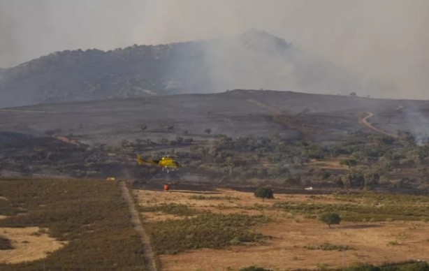 Foto - ABD ve Avrupa alarma geçti! Yüzlerce kişi hayatını kaybetti