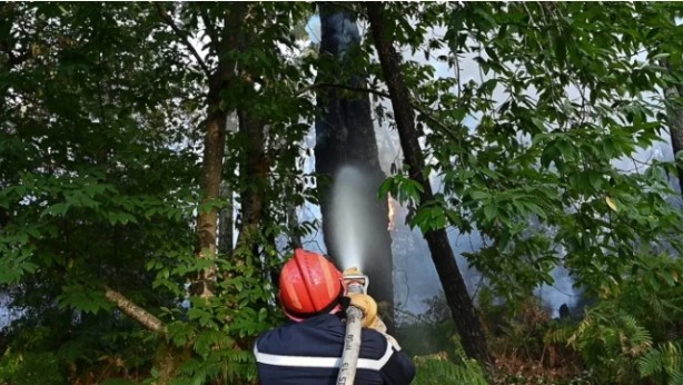 Foto - ABD ve Avrupa alarma geçti! Yüzlerce kişi hayatını kaybetti