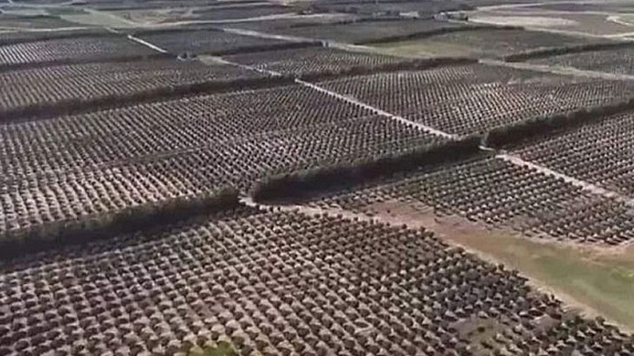 ABD ve İtalya ne yaptıysa olmadı! Patron Türkiye oldu, talep yağıyor