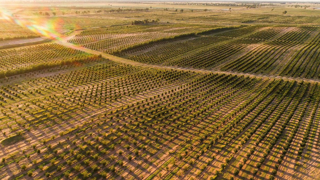 Foto - ABD ve İtalya ne yaptıysa olmadı! Patron Türkiye oldu, talep yağıyor