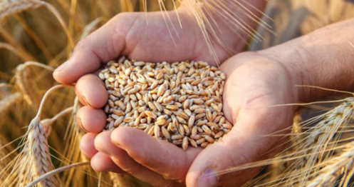 Foto - ABD ve Rusya'nın planı, Türkiye'nin teklifi! Dünya medyasında manşet