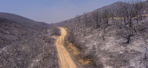 ABD Yunanistan'ı resmen sattı! Biz bu kadar güvenmeyin demiştik