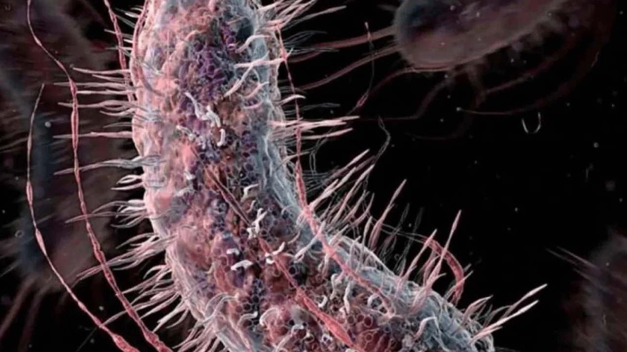 Foto - ABD'de alarm verildi: 4 kişi hayatını kaybetti!