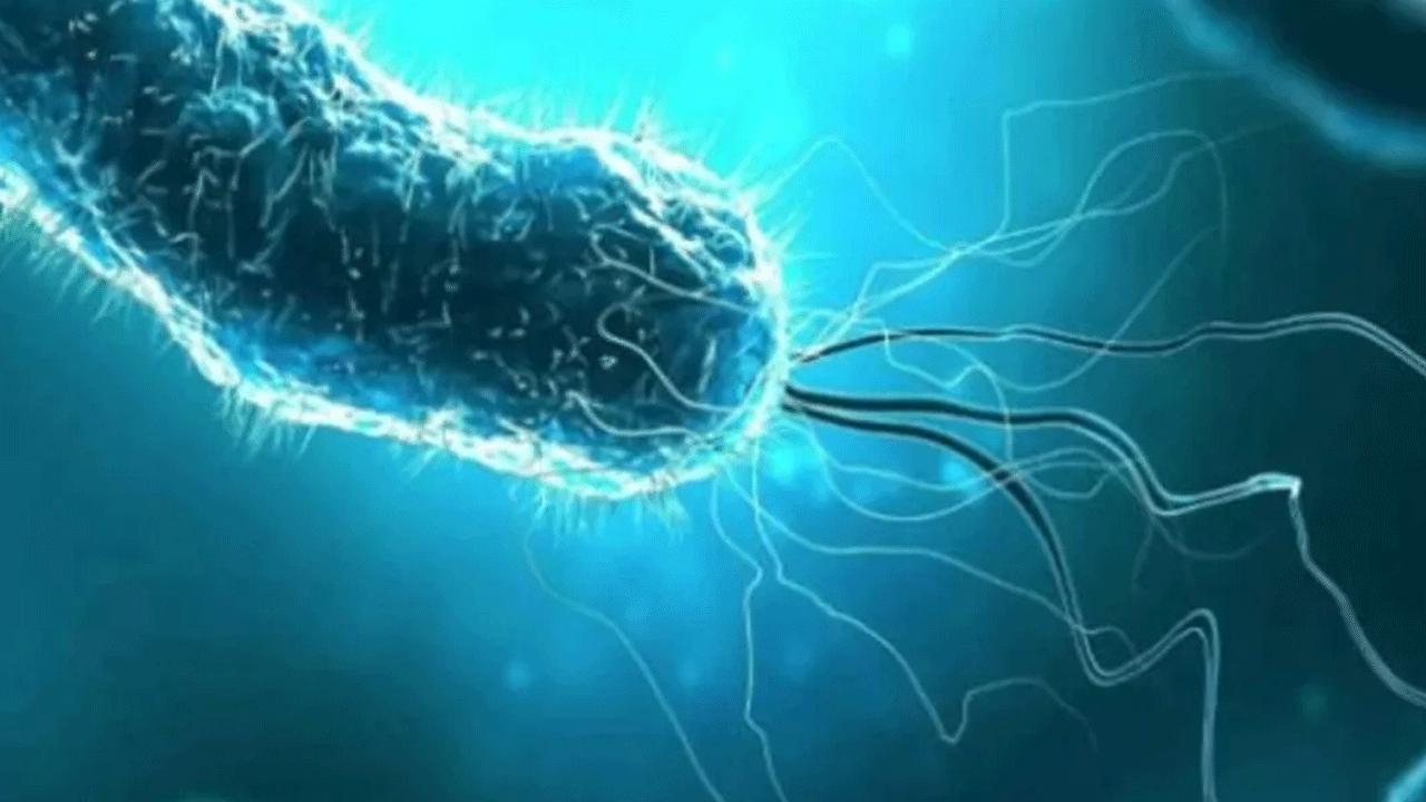 Foto - ABD'de alarm verildi: 4 kişi hayatını kaybetti!