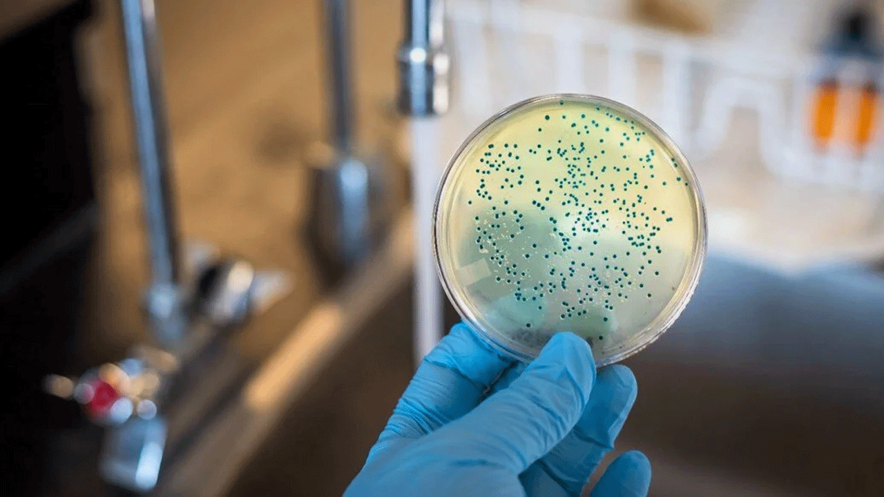 Foto - ABD'de alarm verildi: 4 kişi hayatını kaybetti!