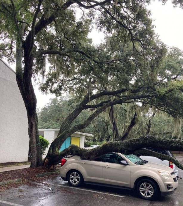 ABD’de etkili olan Debby Kasırgası
