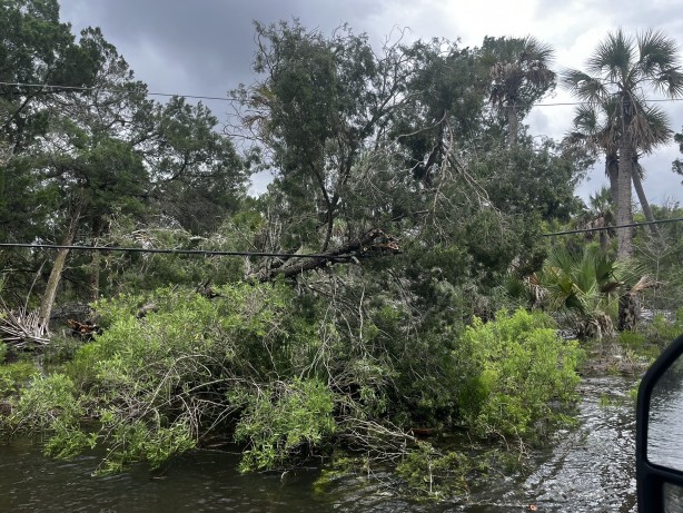 Foto - ABD’de etkili olan Debby Kasırgası