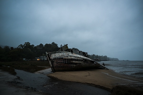 ABD’de fırtına hayatı olumsuz etkiledi