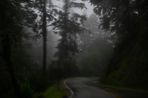 Foto - ABD’de fırtına hayatı olumsuz etkiledi
