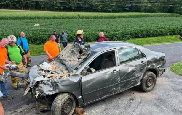 Foto - ABD'de görenleri şaşkına çeviren olay