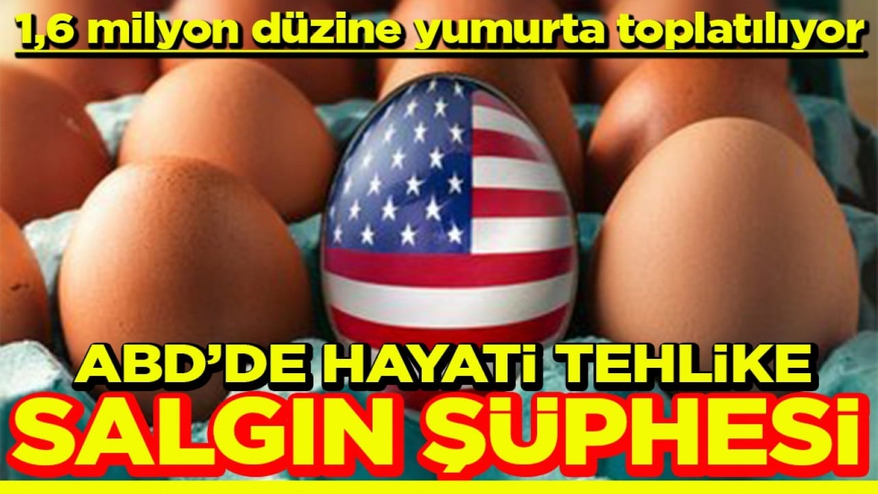 ABD’de hayati tehlike Yumurtalarda salgın şüphesi