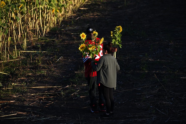 Foto - ABD’de herkes bu tarlaya akın ediyor