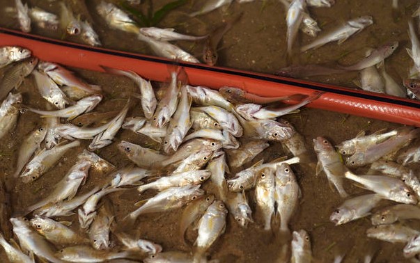Foto - ABD'de korkunç görüntüler! Koca şehirleri yıktı geçti
