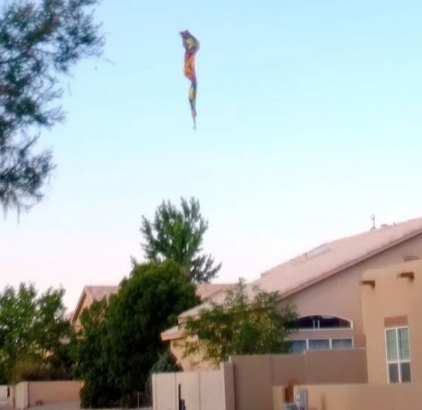 Foto - ABD'de korkunç kaza: Sıcak hava balonu yere çakıldı! 