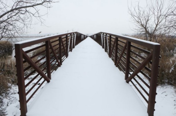 Foto - ABD'de kutup soğukları can aldı