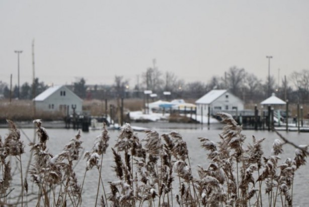 Foto - ABD'de kutup soğukları can aldı