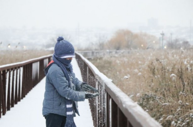 ABD'de kutup soğukları can aldı