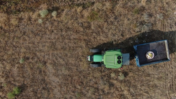 Foto - ABD'yi bırakıp Türkiye'ye yerleşen antropolog gündem oldu! Yeni işini duyan bakan arayıp tebrik etti