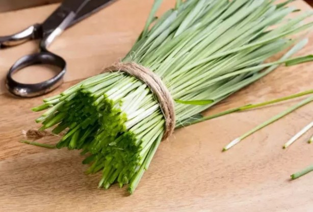 Foto - ABD'de ve Avrupa'da yok satıyor! Vücuttaki tüm zehri söküp atıyor