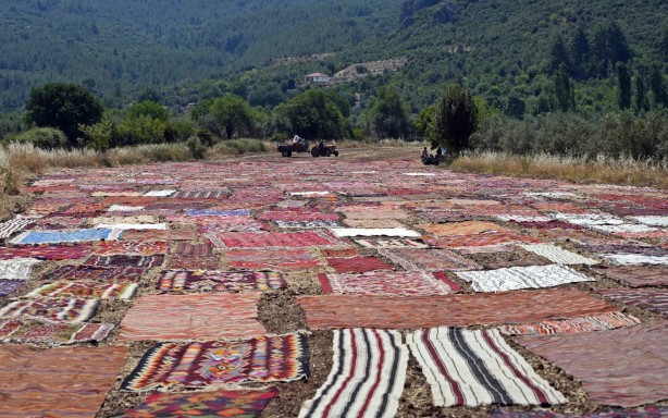 Foto - ABD'deki binlerce halı meraklısının gözü bu tarlada