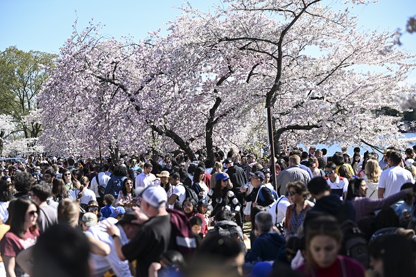 Foto - ABD’den kartpostallık görüntüler