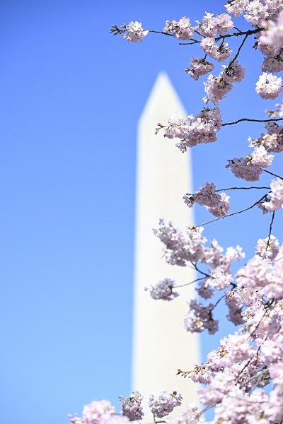 Foto - ABD’den kartpostallık görüntüler