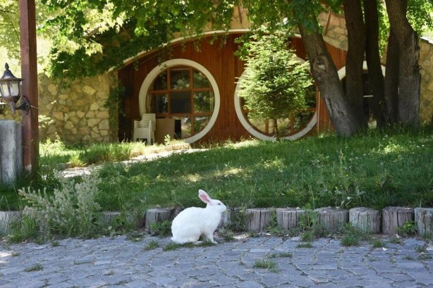 Foto - ABD'den Sivas'a uyarı!
