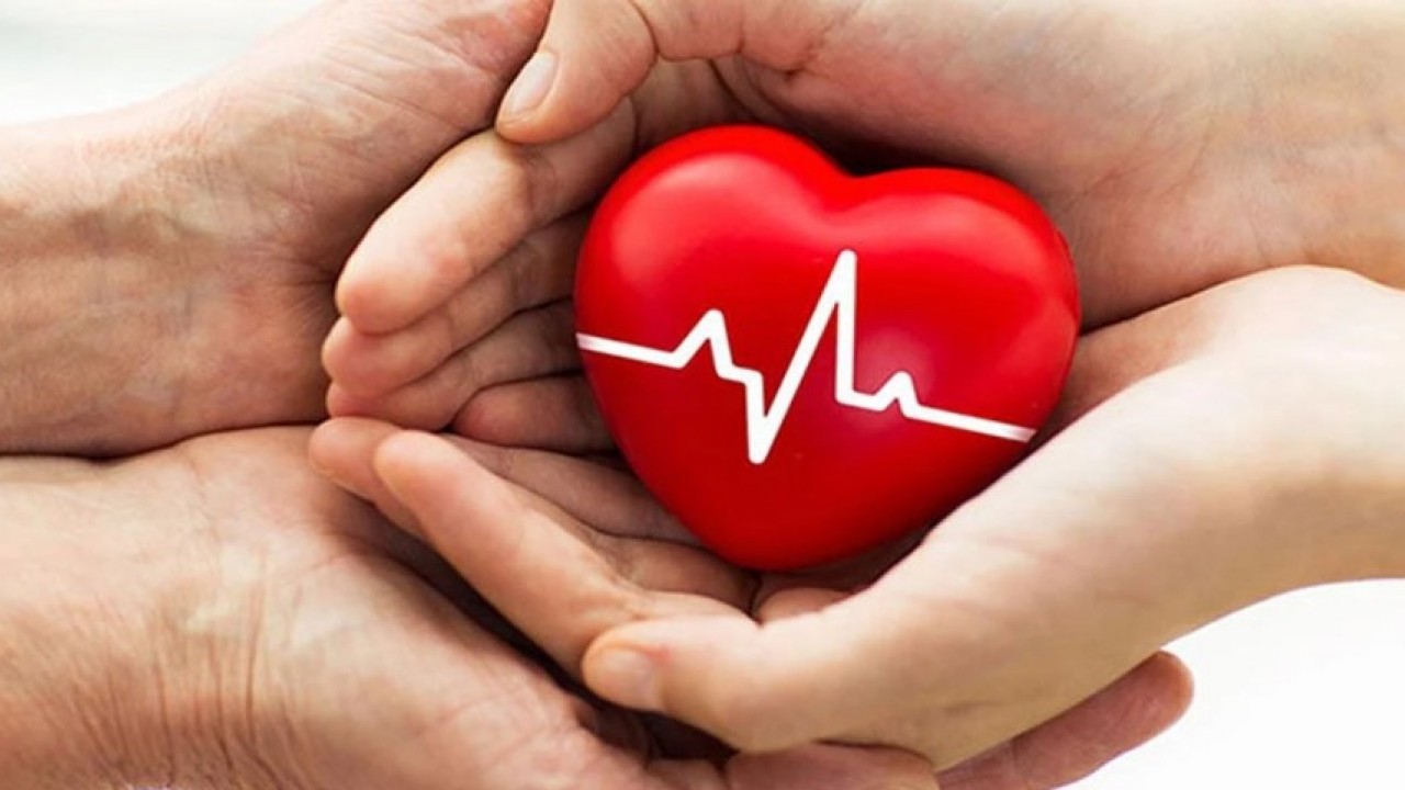 Foto - ABD’li bilim adamları dört belirtiyi açıkladı! Hiçbir kalp krizi aniden gelmez