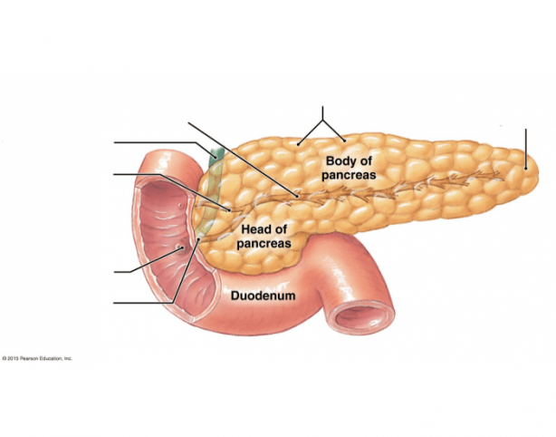 Foto - ABD'li doktorlar doktorlar uyardı! İşte pankreas kanseri olmamak için uzak durmamız gerekenler
