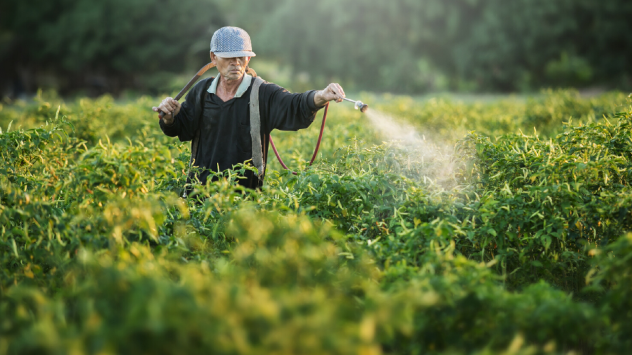 ABD'li kuruluş ifşa etti: Türkiye’deki kanser vakalarının yüzde 60’ı tarımsal ilaçlardan!