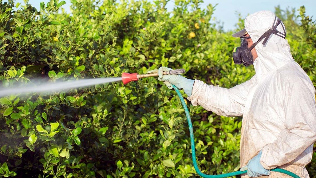 Foto - ABD'li kuruluş ifşa etti: Türkiye’deki kanser vakalarının yüzde 60’ı tarımsal ilaçlardan!