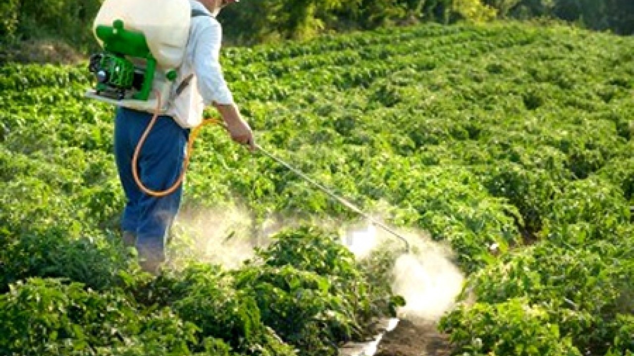 Foto - ABD'li kuruluş ifşa etti: Türkiye’deki kanser vakalarının yüzde 60’ı tarımsal ilaçlardan!