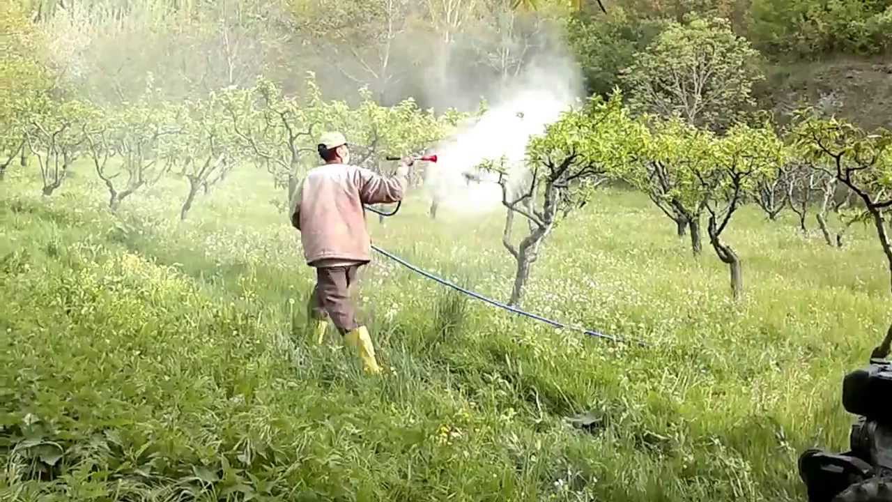 Foto - ABD'li kuruluş ifşa etti: Türkiye’deki kanser vakalarının yüzde 60’ı tarımsal ilaçlardan!