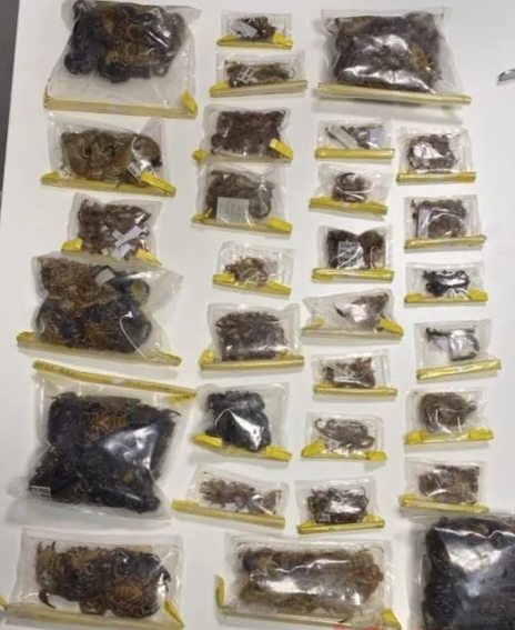 Foto - ABD’li müdür İstanbul Havalimanı’nda yakalandı