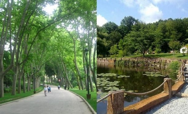 Foto - ABD'li ve İspanyol bilim insanlarından şoke eden araştırma: Yeşil alanlar yaşlanmayı yavaşlatıyor! 