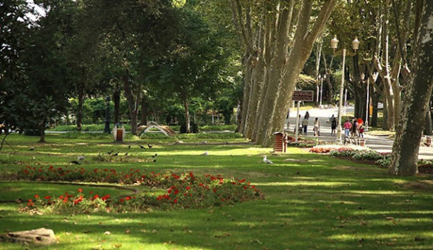 Foto - ABD'li ve İspanyol bilim insanlarından şoke eden araştırma: Yeşil alanlar yaşlanmayı yavaşlatıyor! 