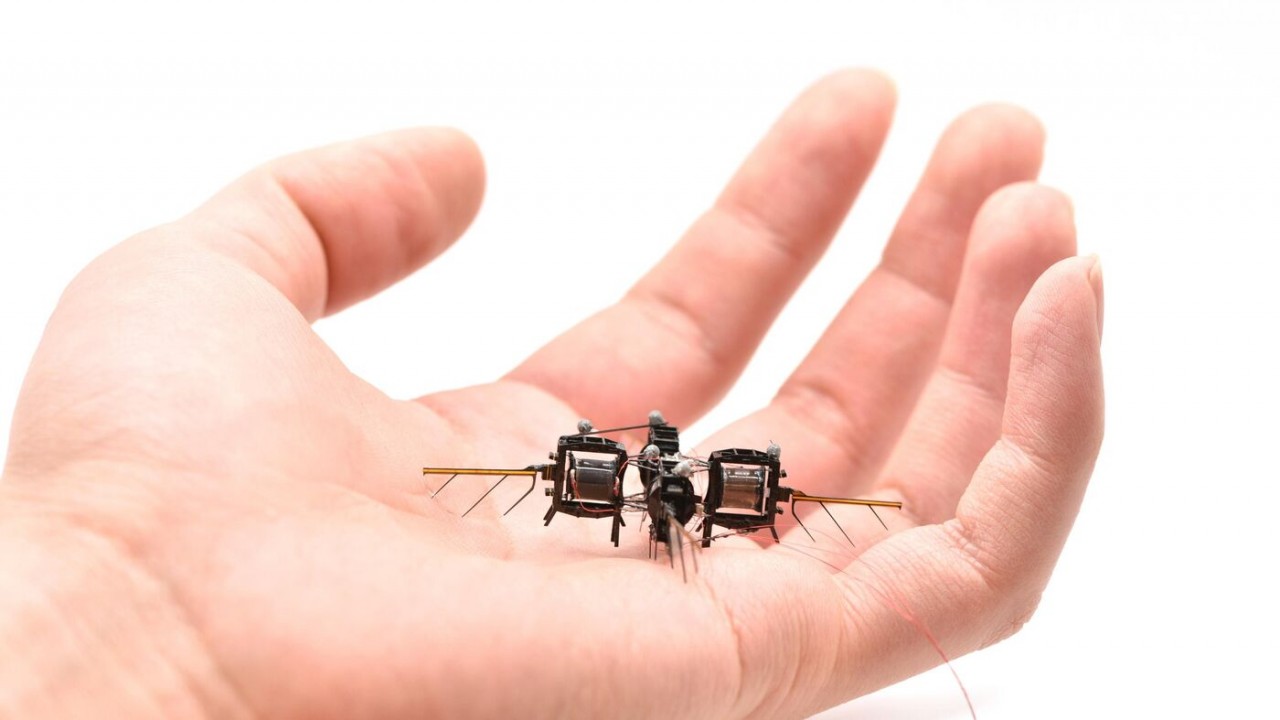 Foto - ABD’nin robot arıları devrede! Bakın ne işe yarayacak