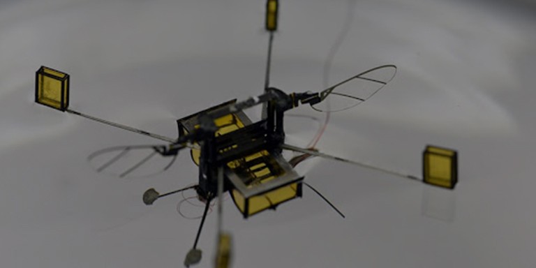 Foto - ABD’nin robot arıları devrede! Bakın ne işe yarayacak