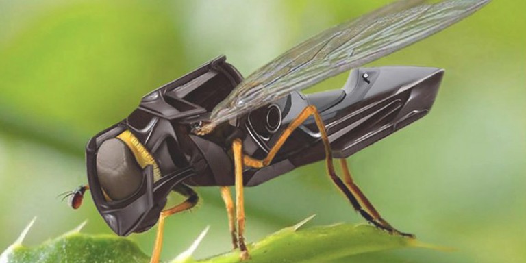 ABD’nin robot arıları devrede! Bakın ne işe yarayacak