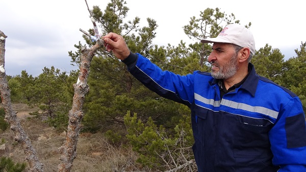 Foto - Abdullah Amca hayatını bu işe adadı! 