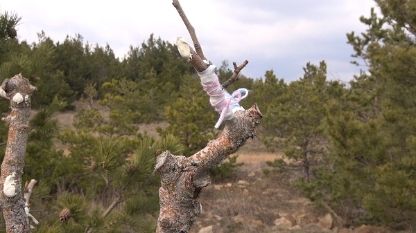 Foto - Abdullah Amca hayatını bu işe adadı! 