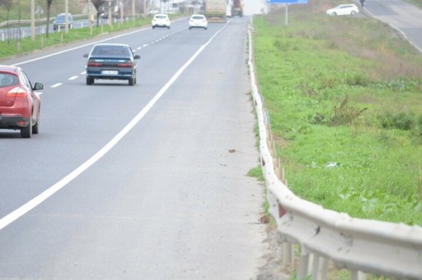 Foto - Aç kalan fareler otoyolu bastı