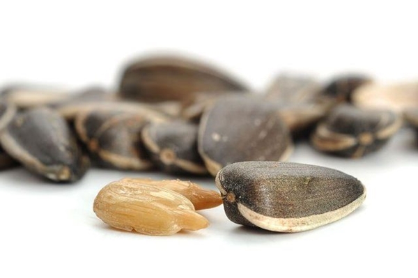 Foto - Aç karna meyve suyu içerseniz...