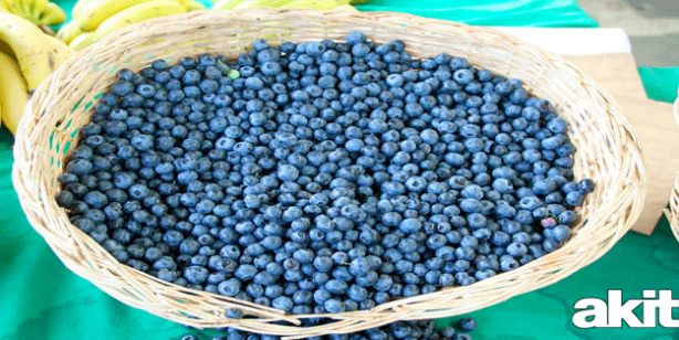 Foto - Acai üzümünün acaip faydaları! Bulunması çok zordu, şimdi Türkiye'de! Her derde deva bitki