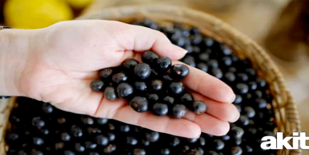 Foto - Acai üzümünün acaip faydaları! Bulunması çok zordu, şimdi Türkiye'de! Her derde deva bitki